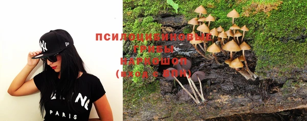 мяу мяу мука Арсеньев