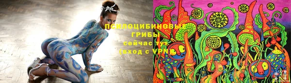 тгк Аркадак