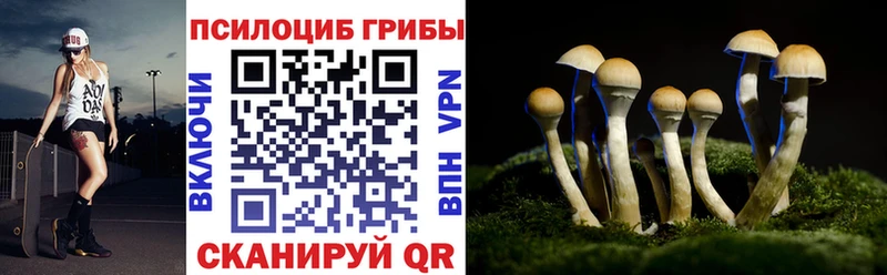 OMG ССЫЛКА  Приволжск  Галлюциногенные грибы мицелий 
